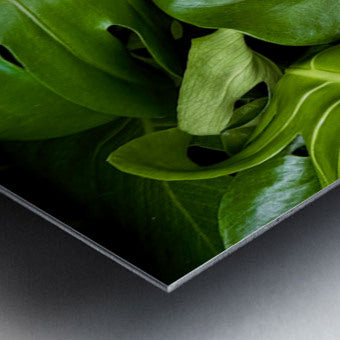 2506821 :: Brushed Metal Print