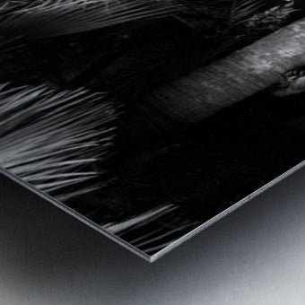 2506837 :: Brushed Metal Print