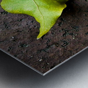 2507300 :: Brushed Metal Print