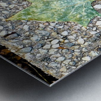 2507302 :: Brushed Metal Print