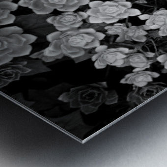 2507303 :: Brushed Metal Print
