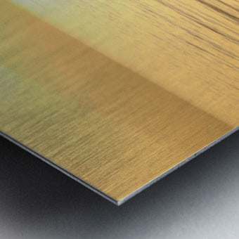 2507307 :: Brushed Metal Print