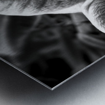 2507310 :: Brushed Metal Print