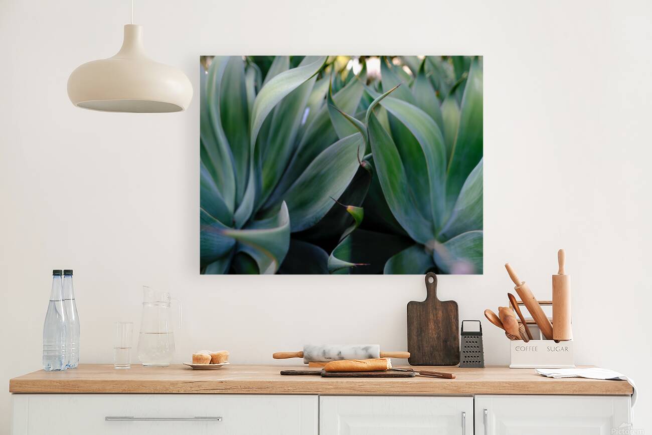2472622 :: Giclée Stretched Canvas Print