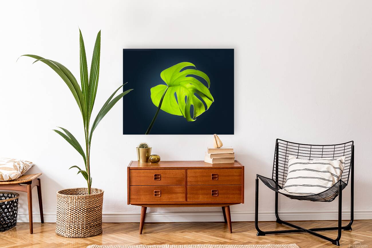 2472625 :: Giclée Stretched Canvas Print