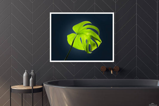 2472625 :: Giclée Stretched Canvas Print