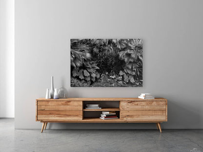 2474293 :: Giclée Stretched Canvas Print