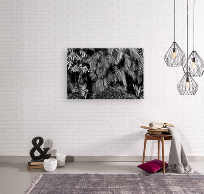 2474294 :: Giclée Stretched Canvas Print