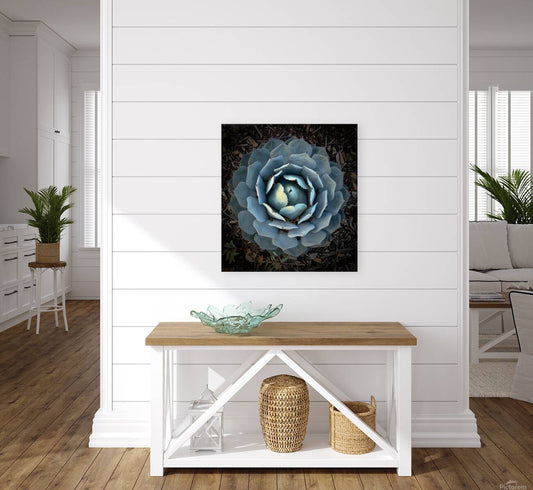 2504115 :: Giclée Stretched Canvas Print
