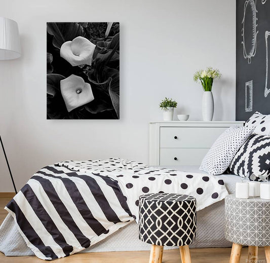 2504117 :: Giclée Stretched Canvas Print