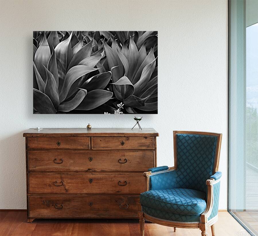 2504118 :: Giclée Stretched Canvas Print