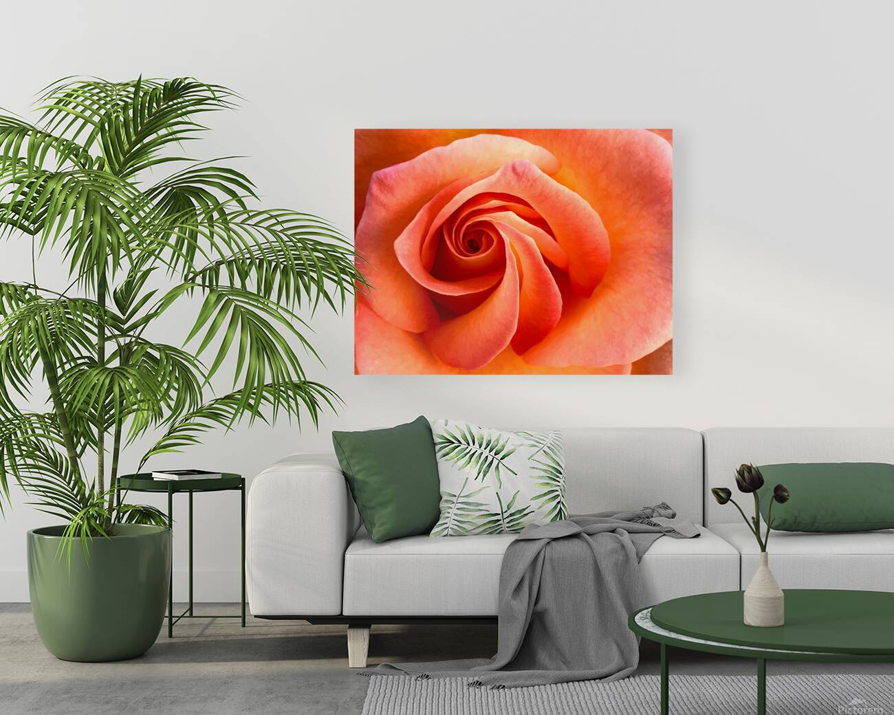 2504121 :: Giclée Stretched Canvas Print