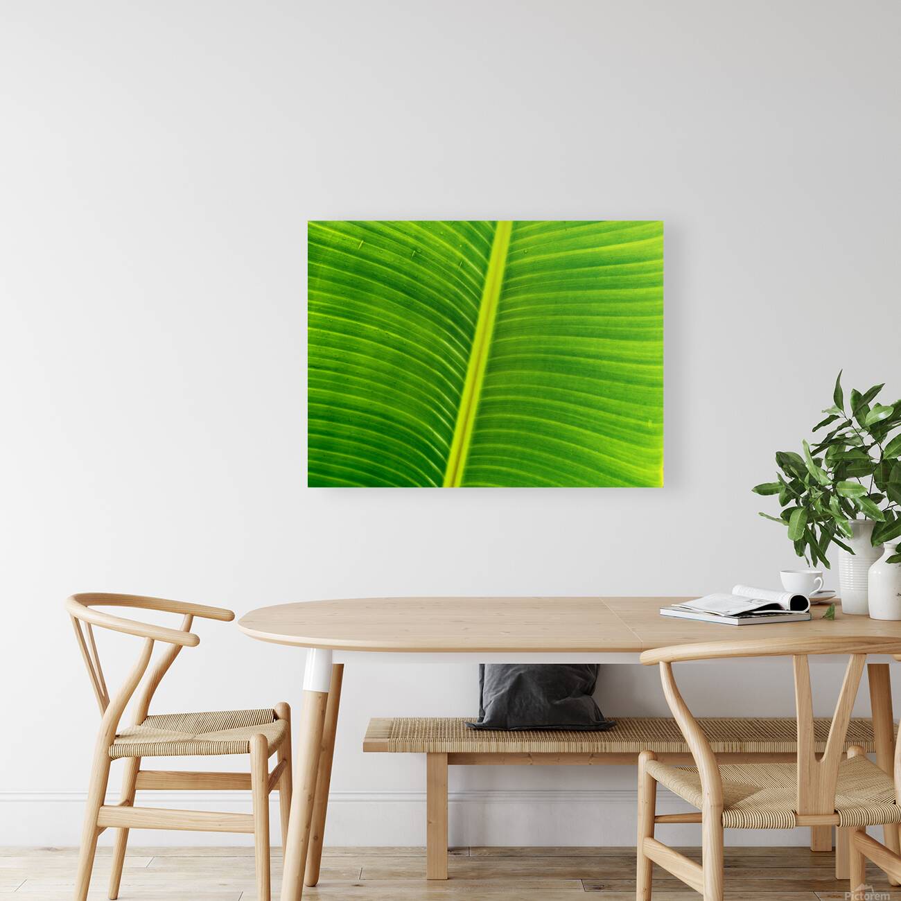 2504123 :: Giclée Stretched Canvas Print