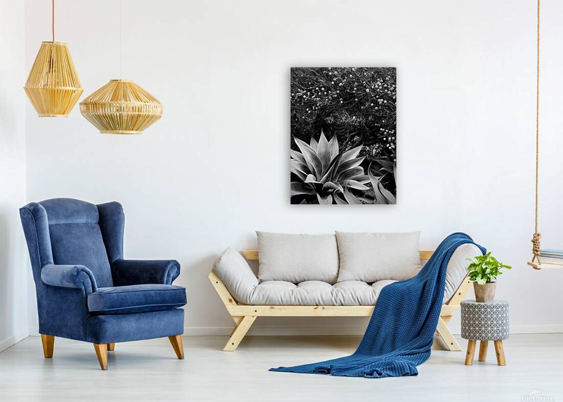 2504126 :: Giclée Stretched Canvas Print