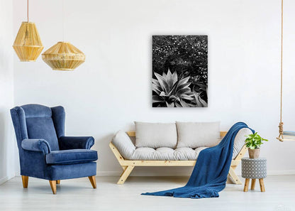 2504126 :: Giclée Stretched Canvas Print