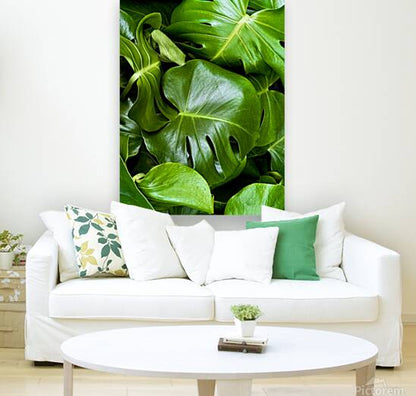 2506821 :: Giclée Stretched Canvas Print