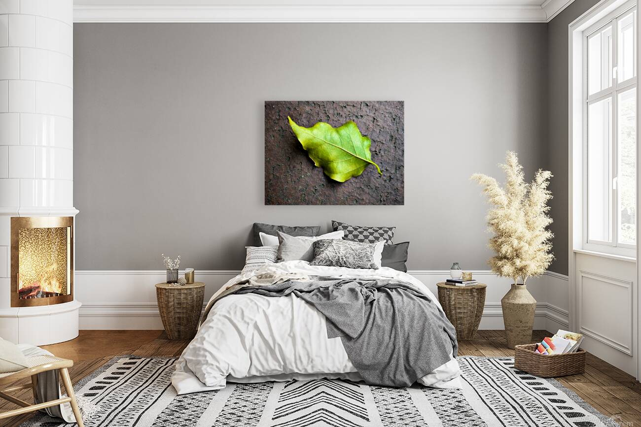 2507300 :: Giclée Stretched Canvas Print