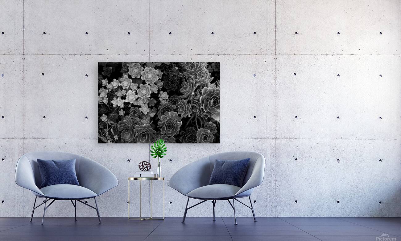 2507303 :: Giclée Stretched Canvas Print