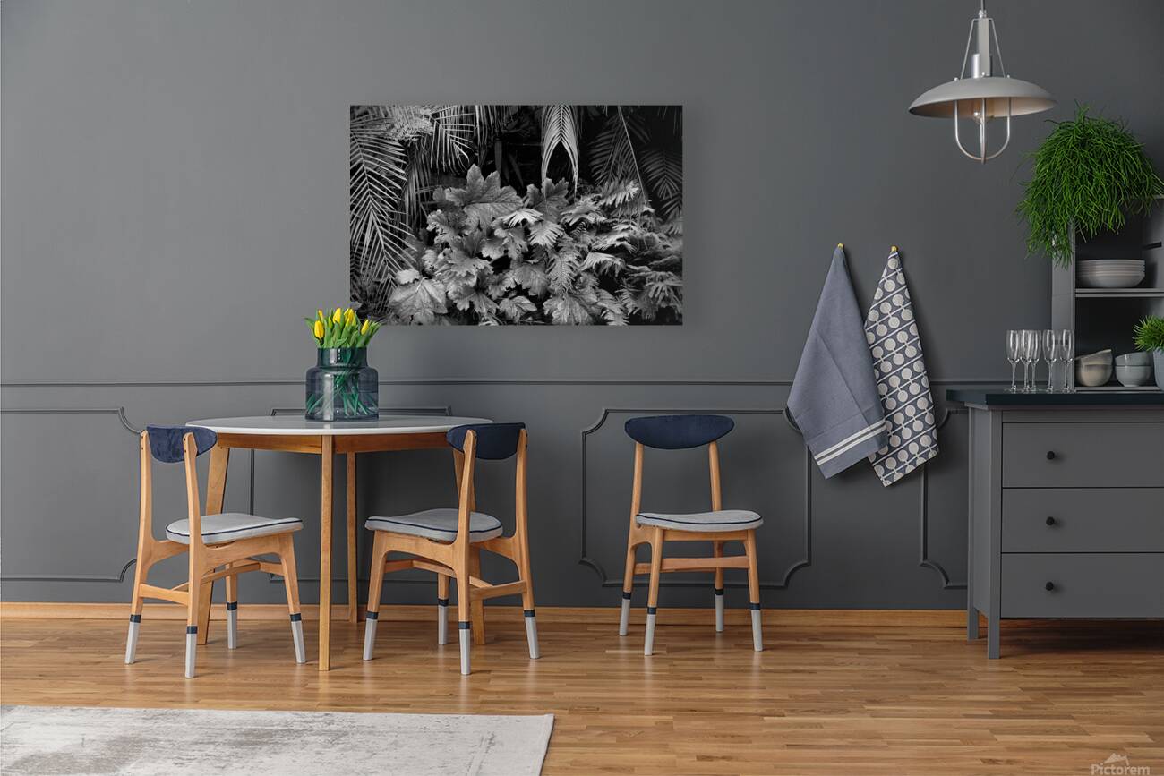 2507308 :: Giclée Stretched Canvas Print