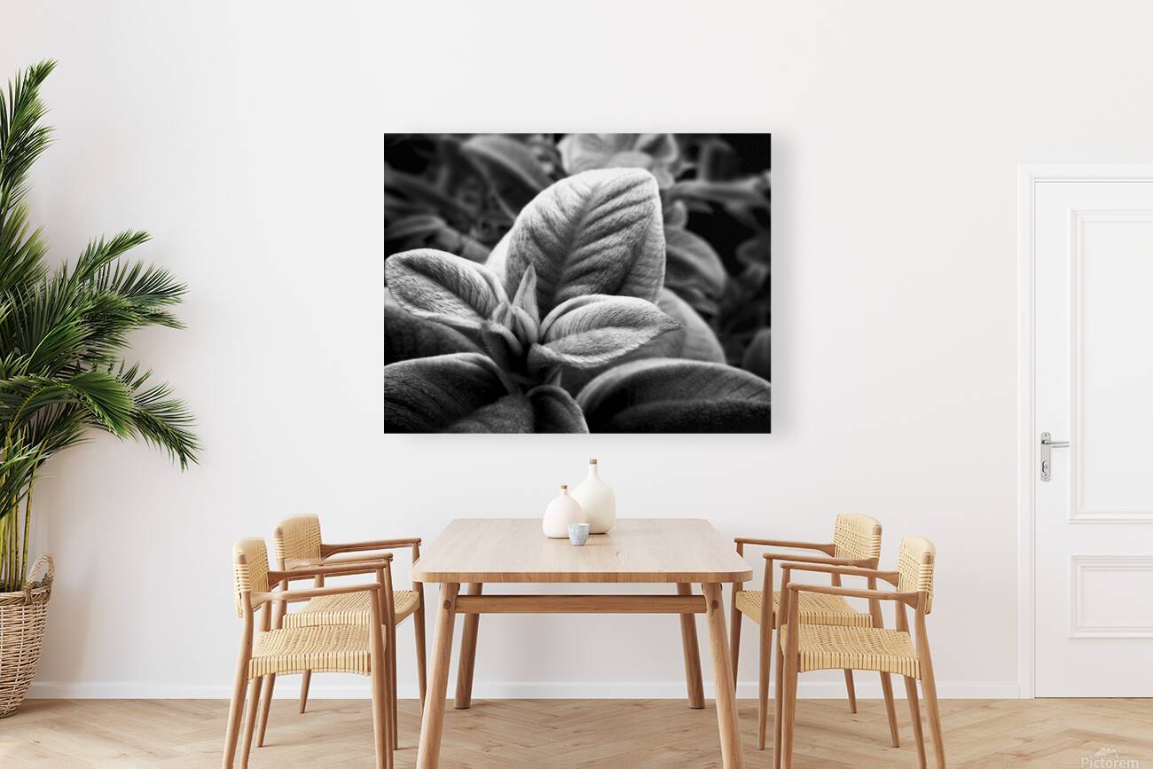2507310 :: Giclée Stretched Canvas Print