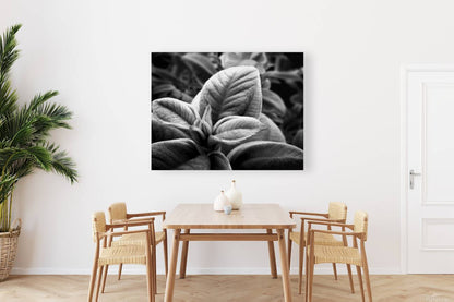 2507310 :: Giclée Stretched Canvas Print
