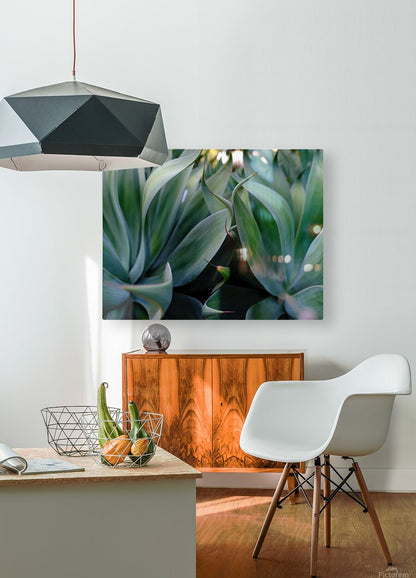 2472622 :: HD Sublimation Metal Print