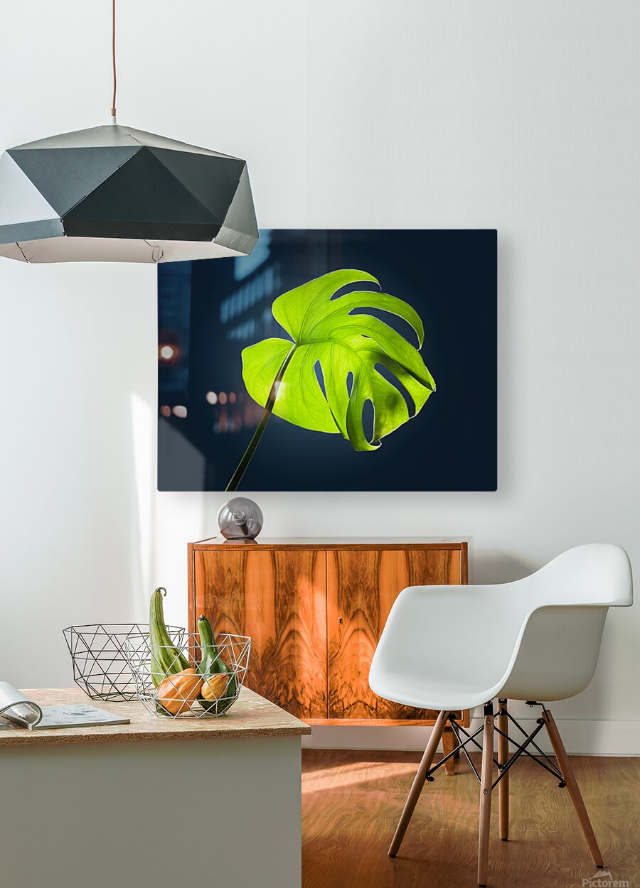 2472625 :: HD Sublimation Metal Print