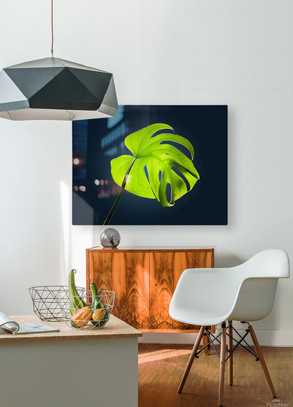 2472625 :: HD Sublimation Metal Print