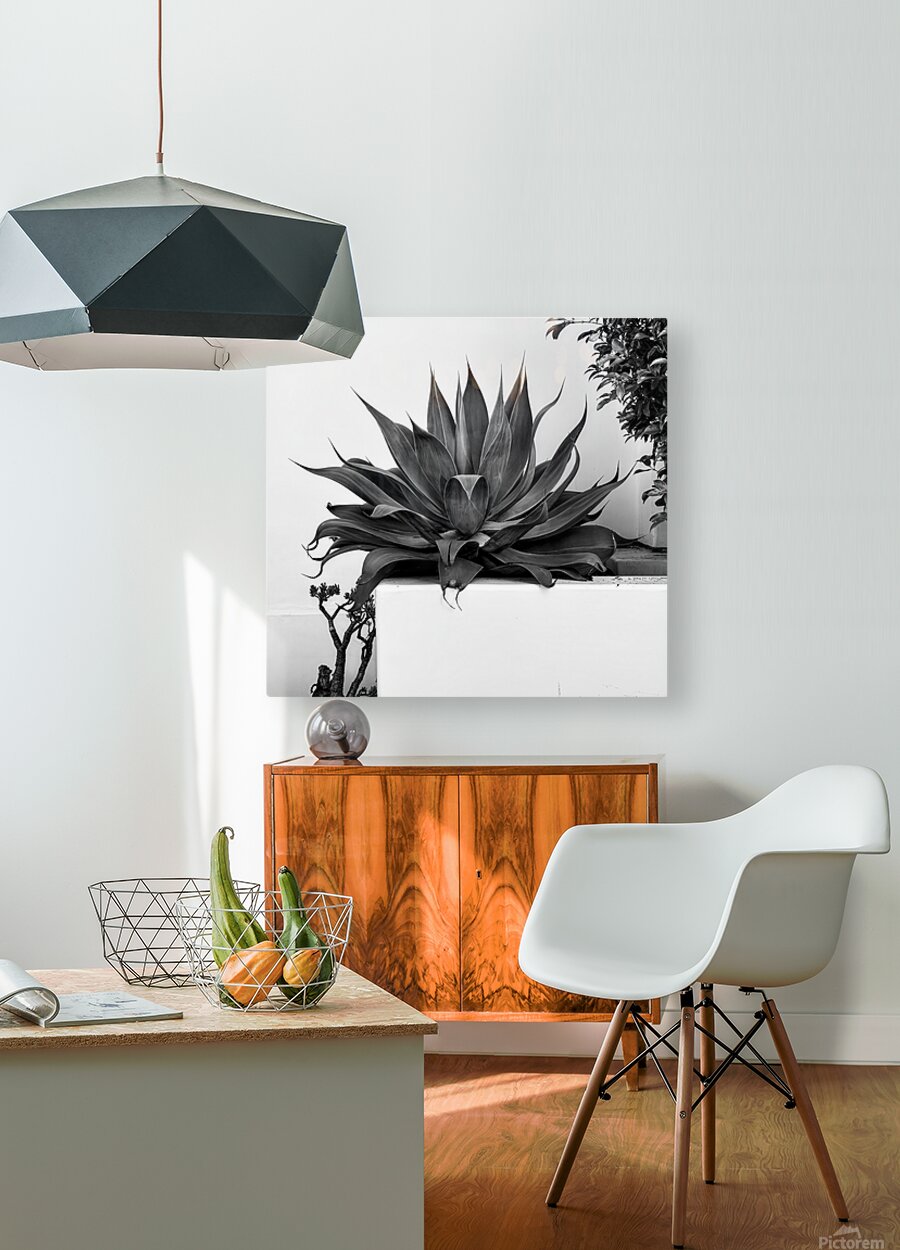 2472630 :: HD Sublimation Metal Print