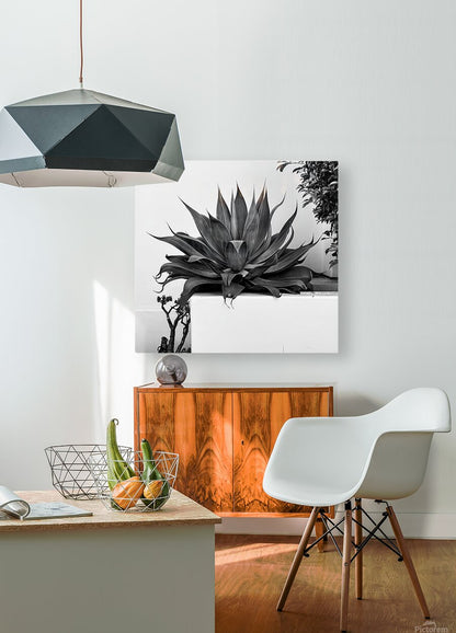 2472630 :: HD Sublimation Metal Print