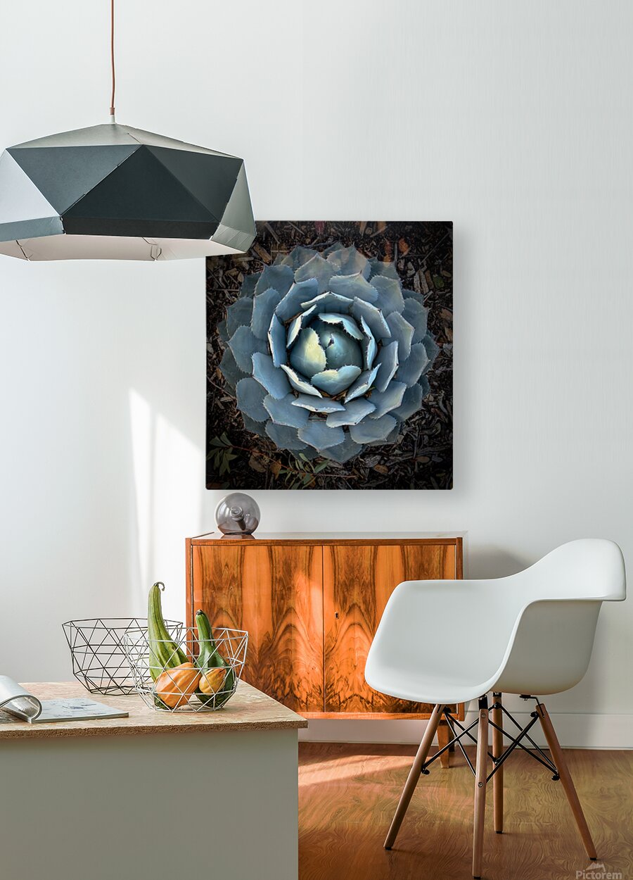 2504115 :: HD Sublimation Metal Print