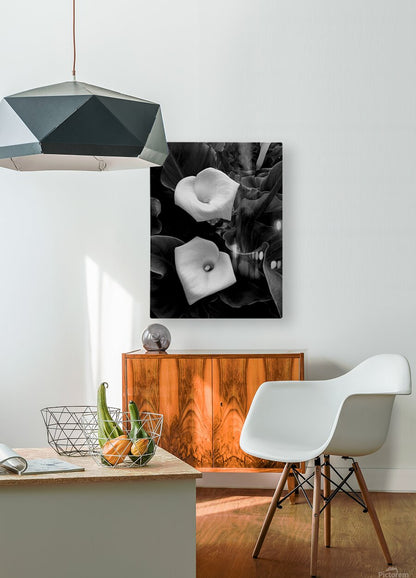 2504117 :: HD Sublimation Metal Print