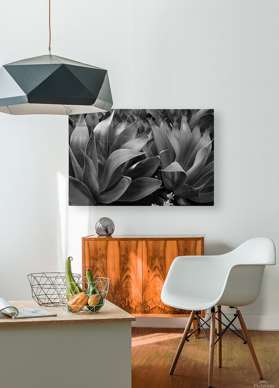 2504118 :: HD Sublimation Metal Print
