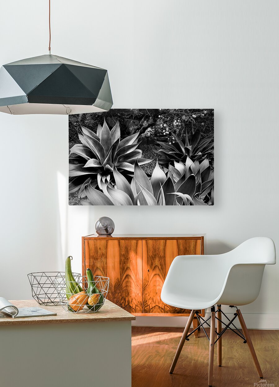 2504125 :: HD Sublimation Metal Print