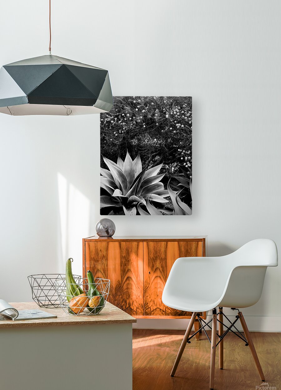 2504126 :: HD Sublimation Metal Print