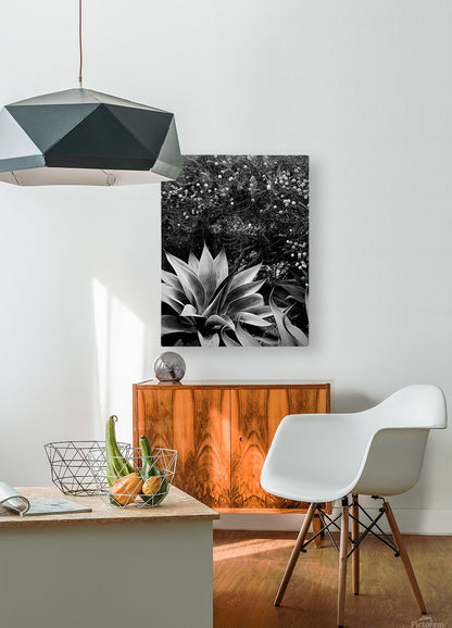 2504126 :: HD Sublimation Metal Print