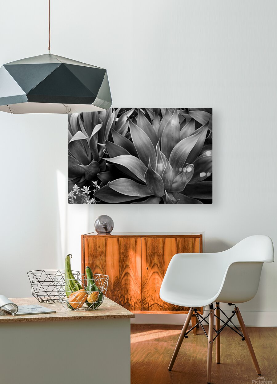 2506832 :: HD Sublimation Metal Print