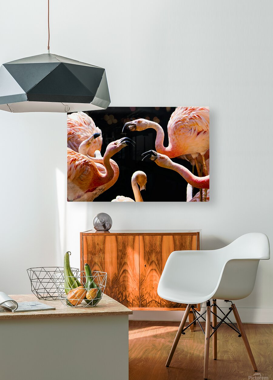 2507224 :: HD Sublimation Metal Print