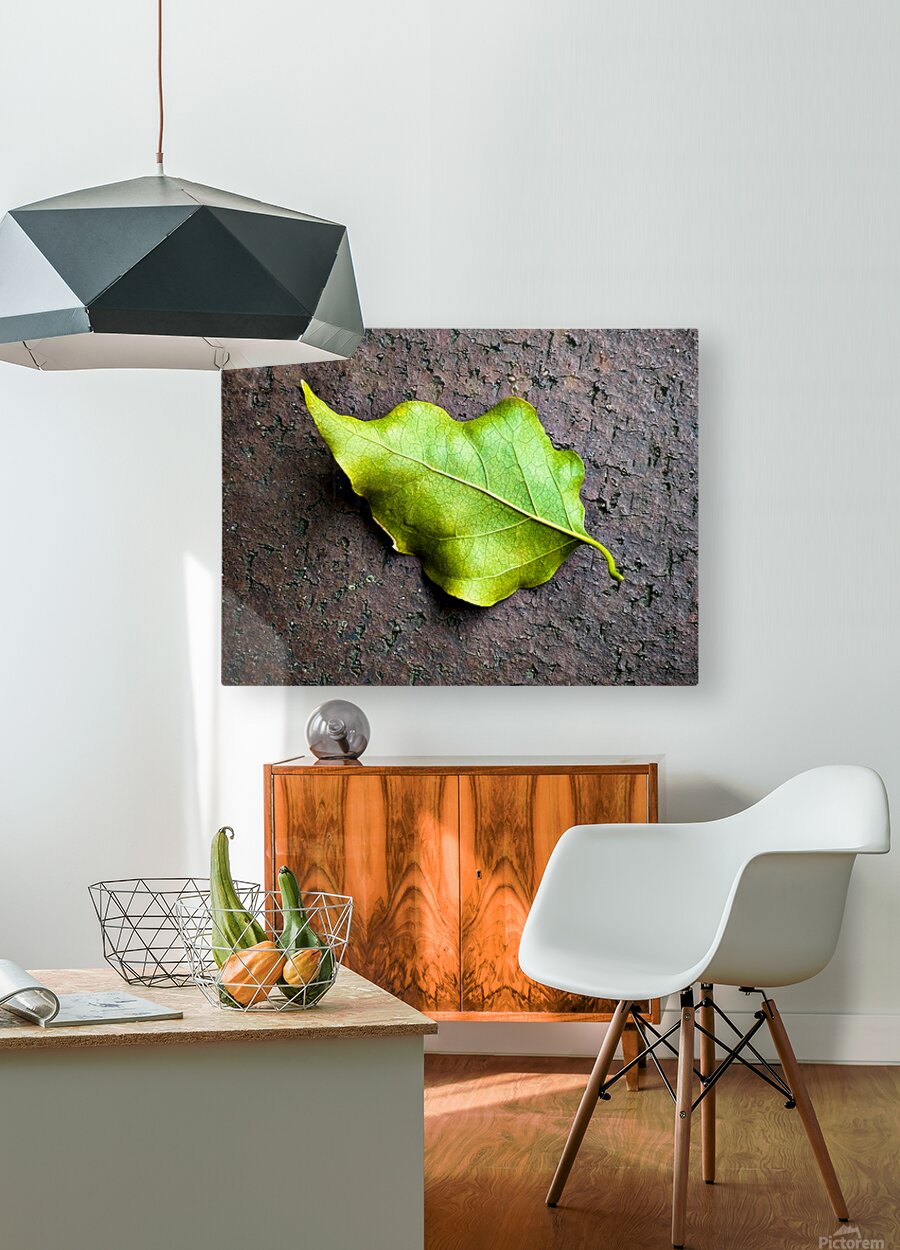2507300 :: HD Sublimation Metal Print