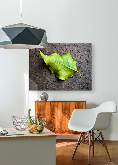 2507300 :: HD Sublimation Metal Print
