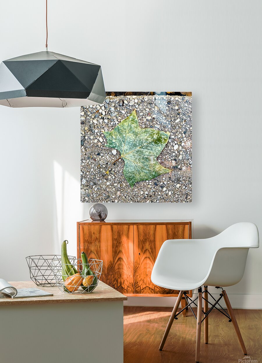 2507302 :: HD Sublimation Metal Print