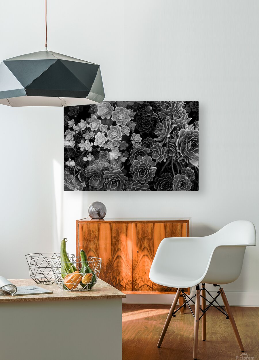 2507303 :: HD Sublimation Metal Print