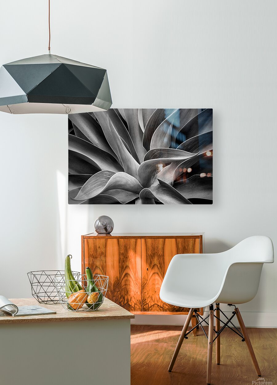 2507309 :: HD Sublimation Metal Print