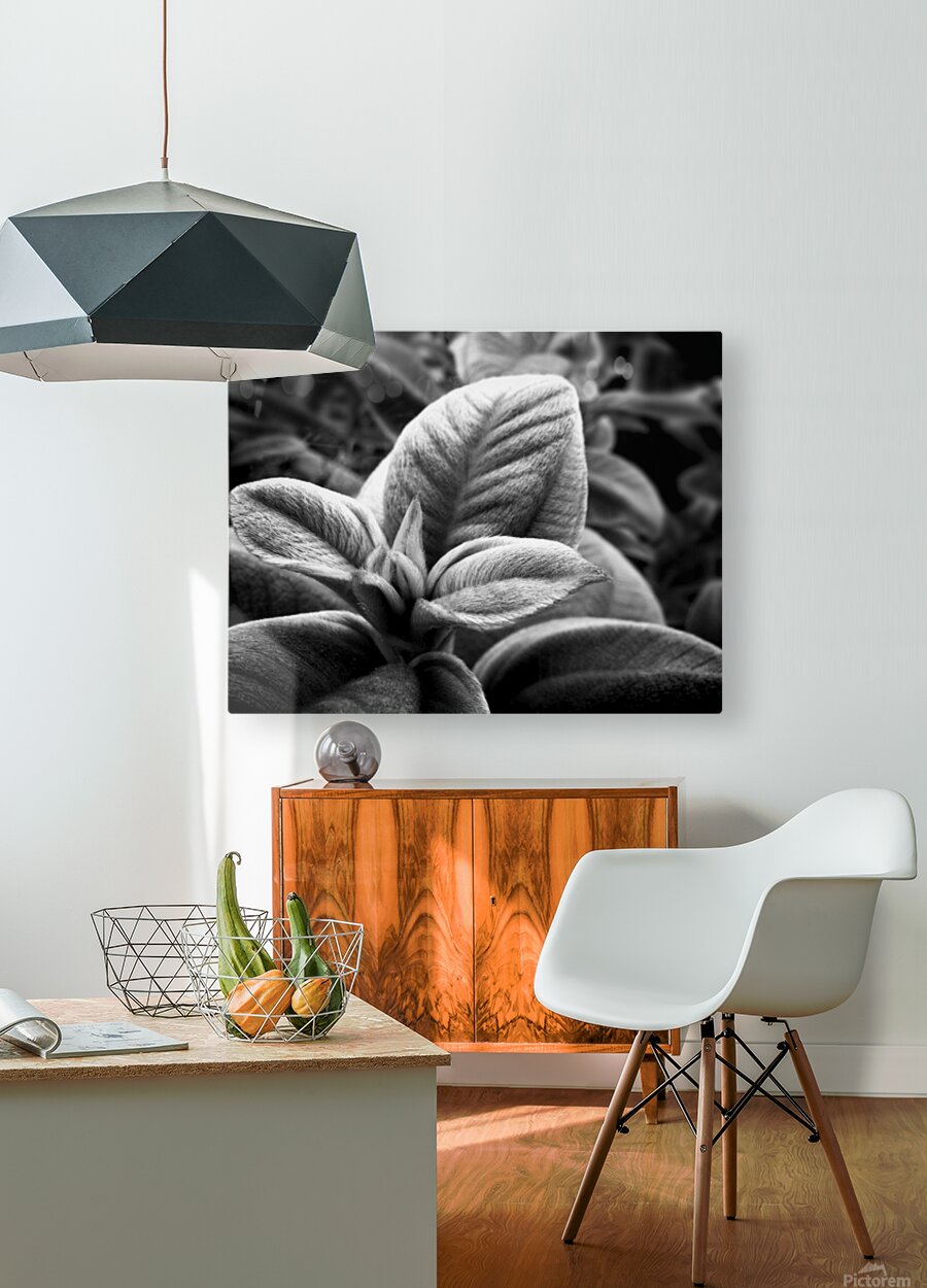 2507310 :: HD Sublimation Metal Print