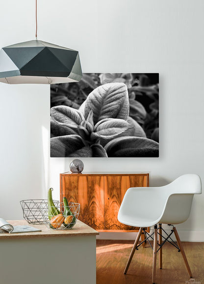 2507310 :: HD Sublimation Metal Print
