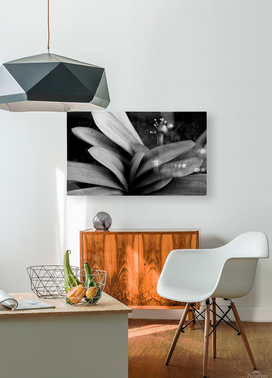 2507311 :: HD Sublimation Metal Print