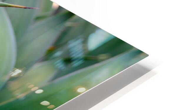 2472622 :: HD Sublimation Metal Print