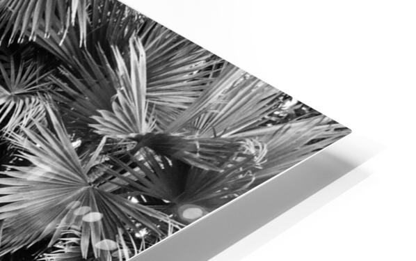 2474293 :: HD Sublimation Metal Print