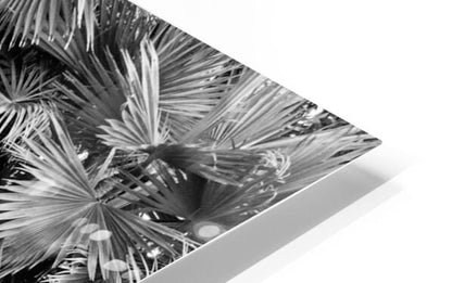 2474293 :: HD Sublimation Metal Print