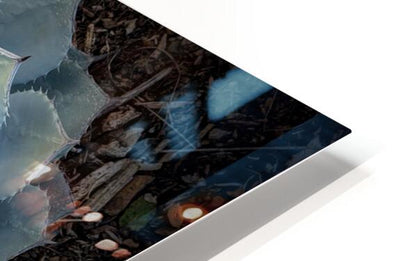 2504115 :: HD Sublimation Metal Print